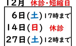 2025.12の休診日_page-0001